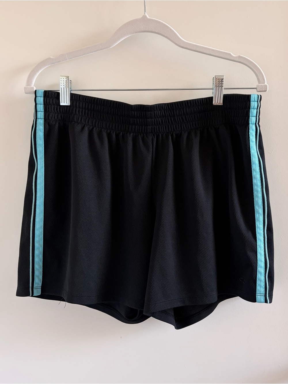 Champion Black Athletic Shorts with Teal Side Stripes